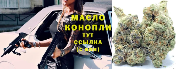 дмт Нестеровская